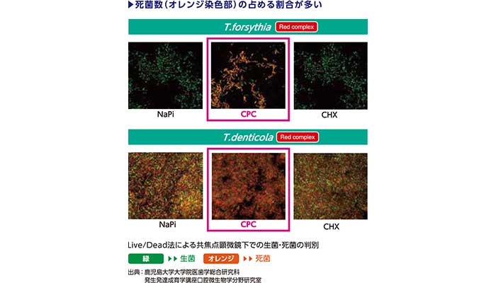 CPCによる長時間殺菌